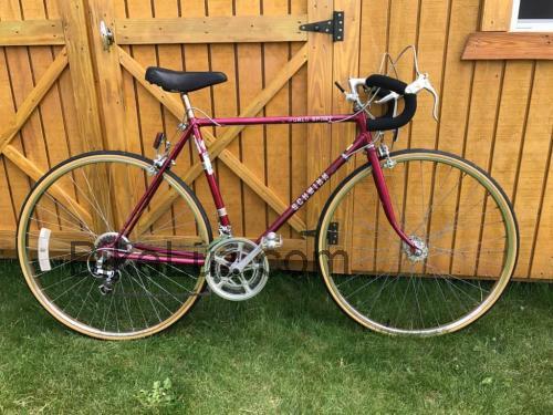 Schwinn World ficha tecnica